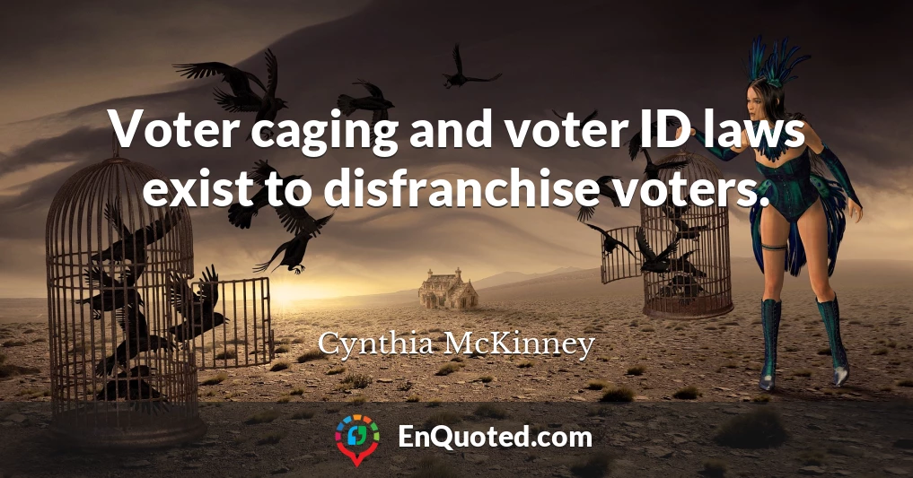Voter caging and voter ID laws exist to disfranchise voters.