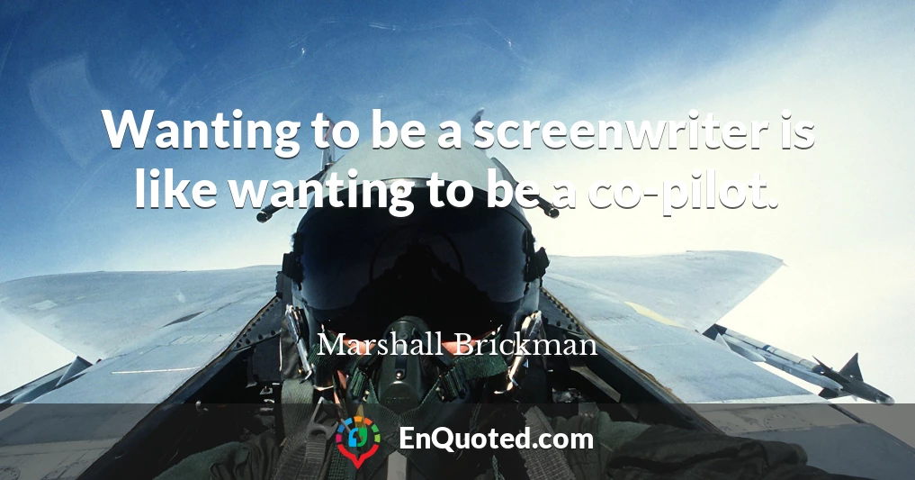 Wanting to be a screenwriter is like wanting to be a co-pilot.