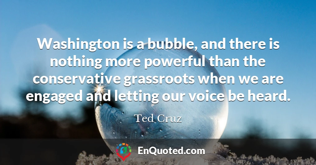 Washington is a bubble, and there is nothing more powerful than the conservative grassroots when we are engaged and letting our voice be heard.