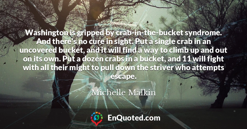 Washington is gripped by crab-in-the-bucket syndrome. And there's no cure in sight. Put a single crab in an uncovered bucket, and it will find a way to climb up and out on its own. Put a dozen crabs in a bucket, and 11 will fight with all their might to pull down the striver who attempts escape.