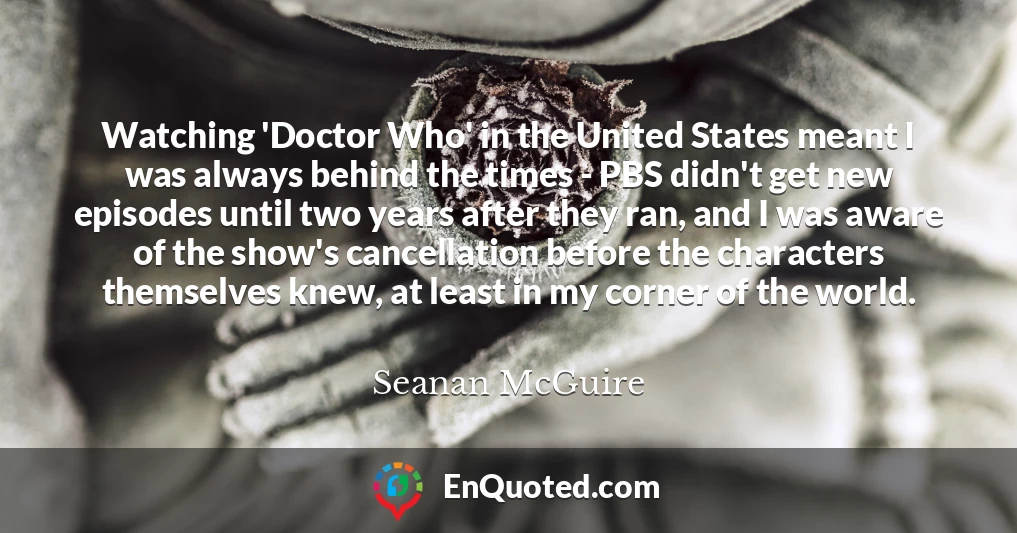 Watching 'Doctor Who' in the United States meant I was always behind the times - PBS didn't get new episodes until two years after they ran, and I was aware of the show's cancellation before the characters themselves knew, at least in my corner of the world.