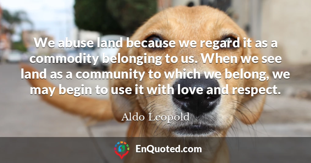 We abuse land because we regard it as a commodity belonging to us. When we see land as a community to which we belong, we may begin to use it with love and respect.