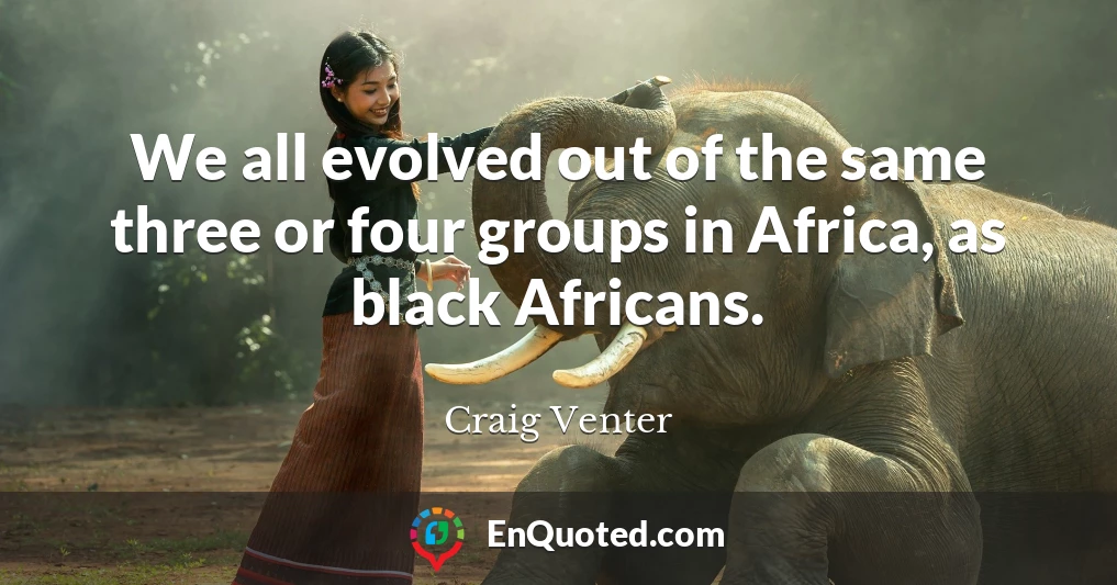 We all evolved out of the same three or four groups in Africa, as black Africans.