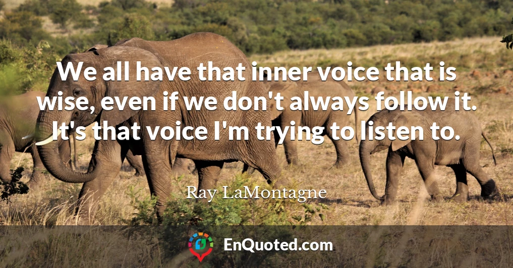 We all have that inner voice that is wise, even if we don't always follow it. It's that voice I'm trying to listen to.