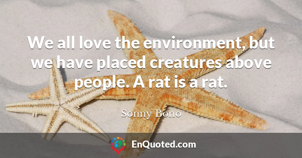 We all love the environment, but we have placed creatures above people. A rat is a rat.