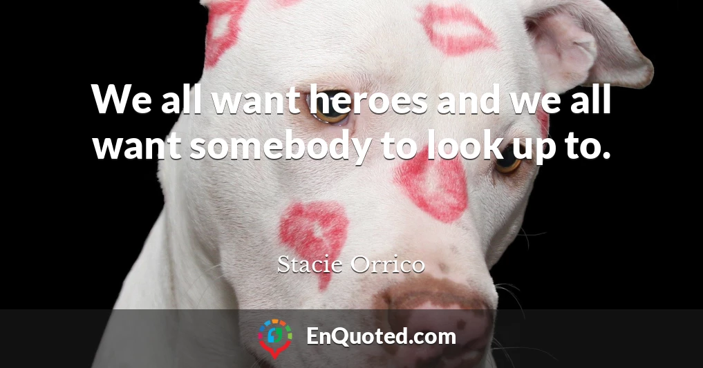 We all want heroes and we all want somebody to look up to.