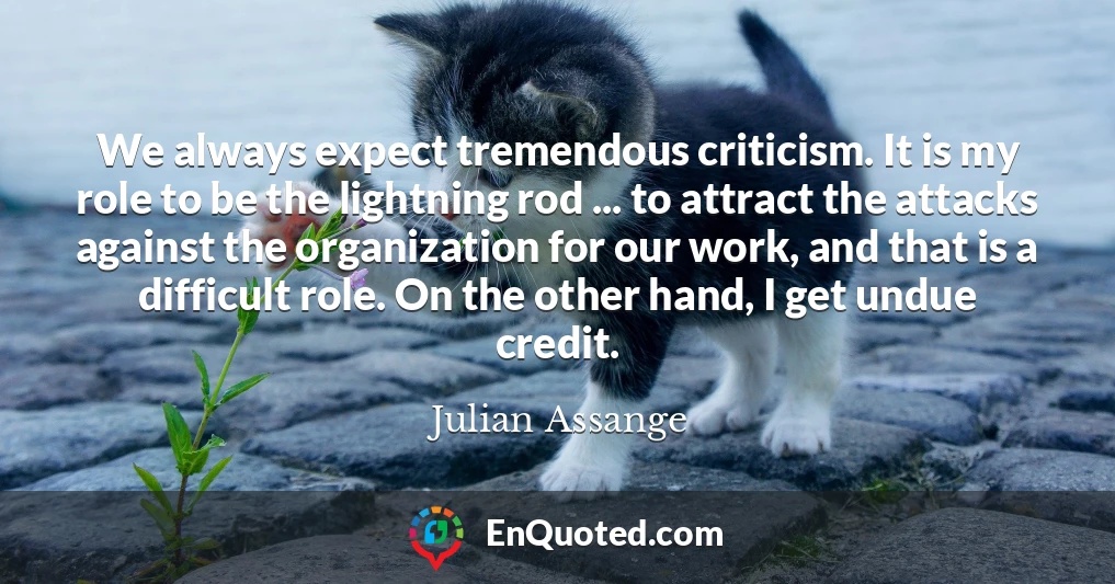 We always expect tremendous criticism. It is my role to be the lightning rod ... to attract the attacks against the organization for our work, and that is a difficult role. On the other hand, I get undue credit.