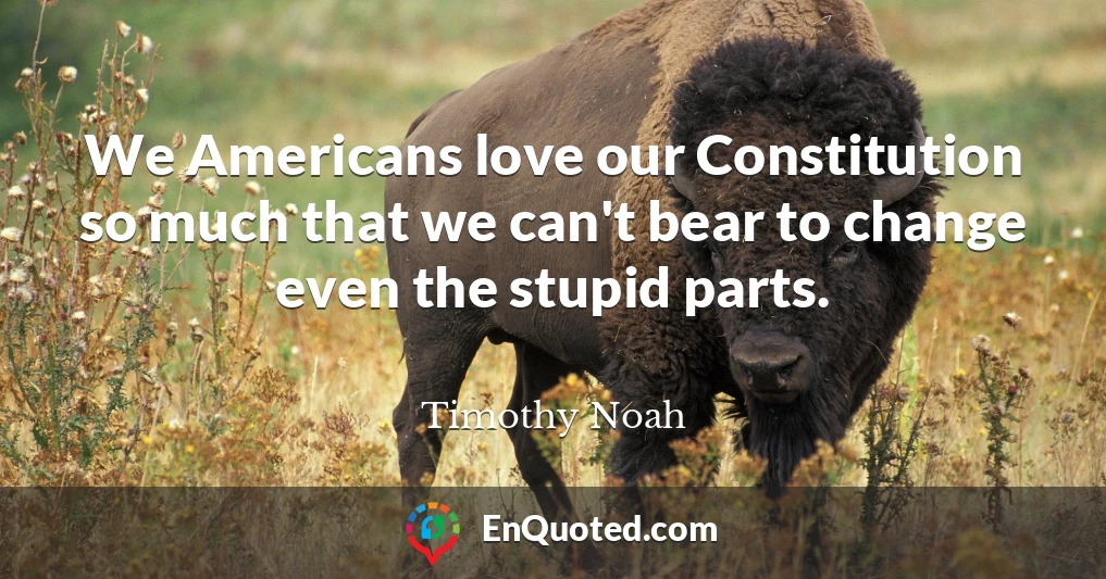 We Americans love our Constitution so much that we can't bear to change even the stupid parts.