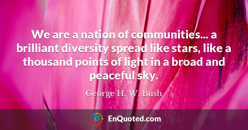 We are a nation of communities... a brilliant diversity spread like stars, like a thousand points of light in a broad and peaceful sky.