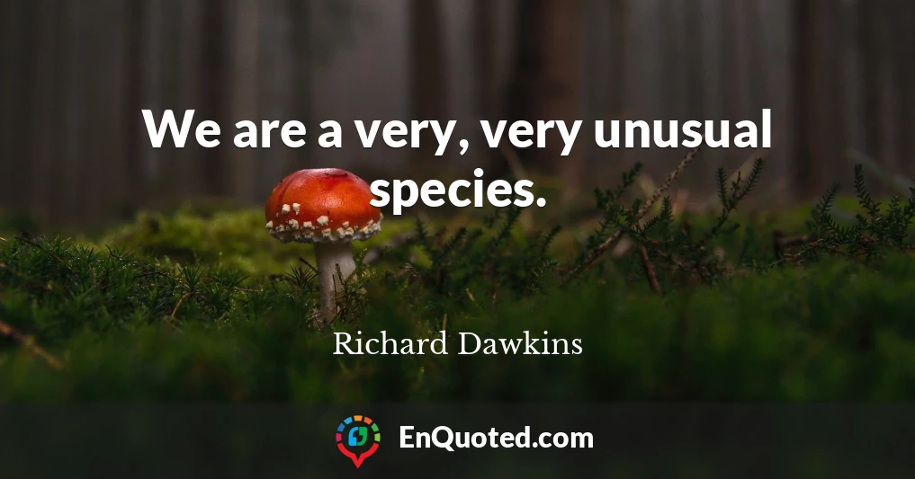 We are a very, very unusual species.