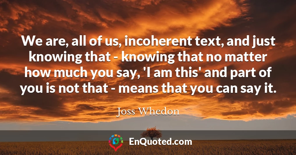 We are, all of us, incoherent text, and just knowing that - knowing that no matter how much you say, 'I am this' and part of you is not that - means that you can say it.