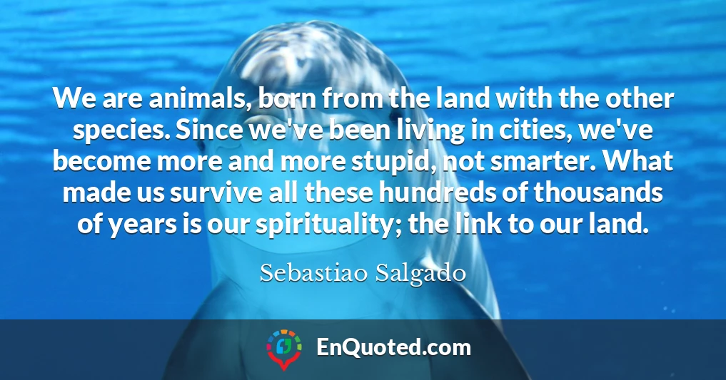 We are animals, born from the land with the other species. Since we've been living in cities, we've become more and more stupid, not smarter. What made us survive all these hundreds of thousands of years is our spirituality; the link to our land.