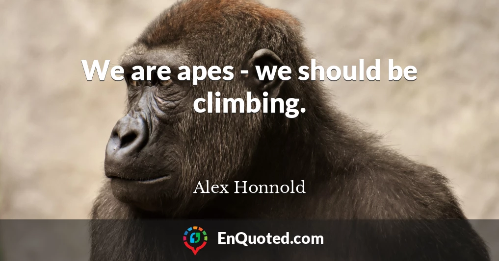 We are apes - we should be climbing.