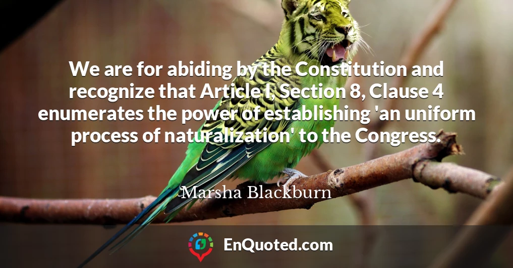 We are for abiding by the Constitution and recognize that Article I, Section 8, Clause 4 enumerates the power of establishing 'an uniform process of naturalization' to the Congress.