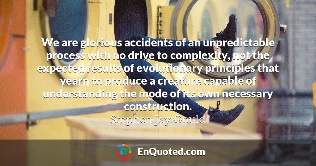 We are glorious accidents of an unpredictable process with no drive to complexity, not the expected results of evolutionary principles that yearn to produce a creature capable of understanding the mode of its own necessary construction.