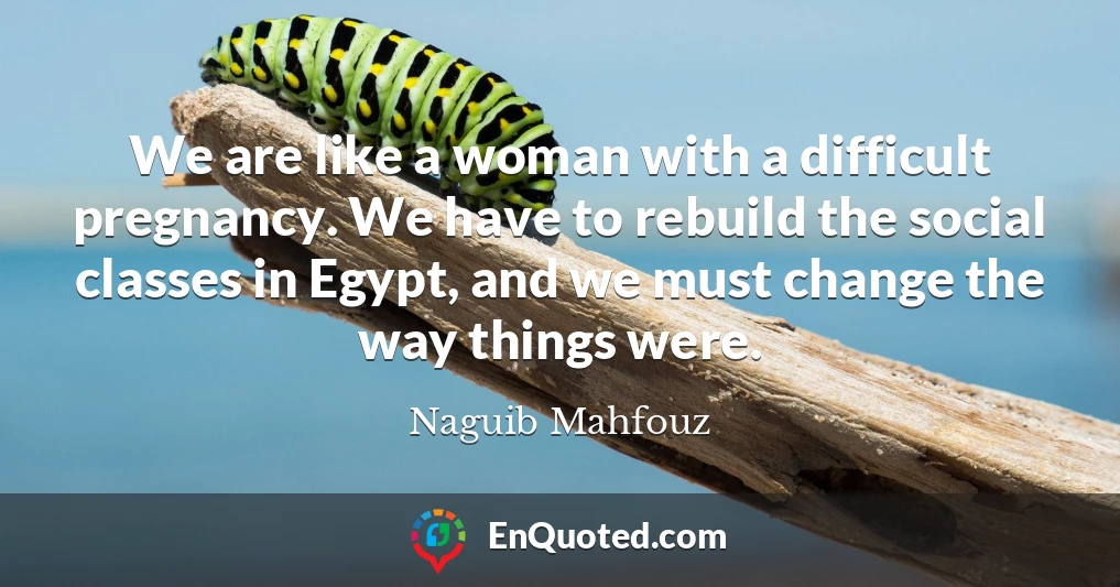 We are like a woman with a difficult pregnancy. We have to rebuild the social classes in Egypt, and we must change the way things were.