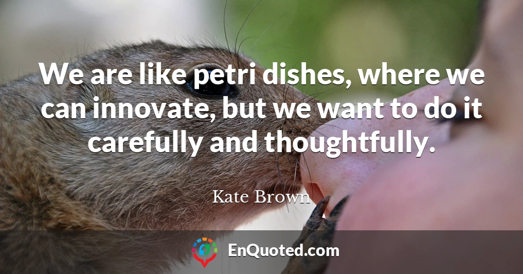 We are like petri dishes, where we can innovate, but we want to do it carefully and thoughtfully.