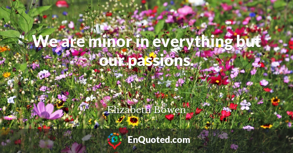 We are minor in everything but our passions.