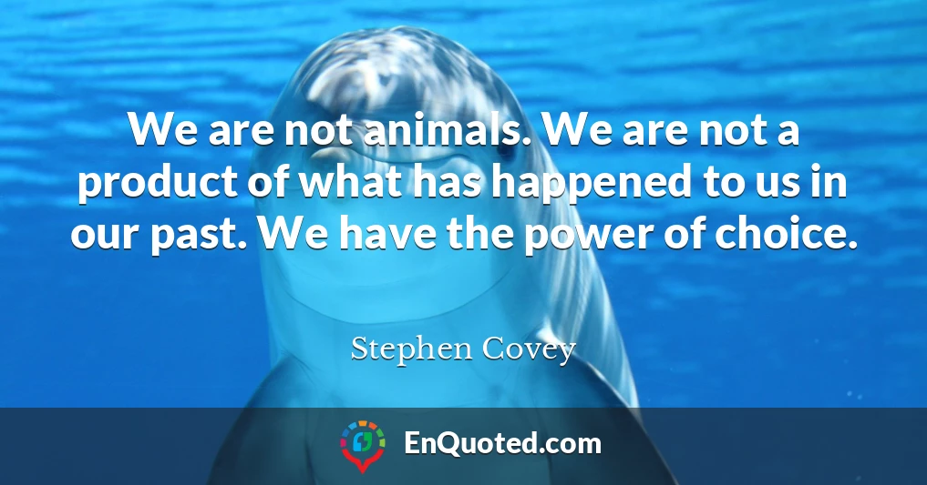 We are not animals. We are not a product of what has happened to us in our past. We have the power of choice.