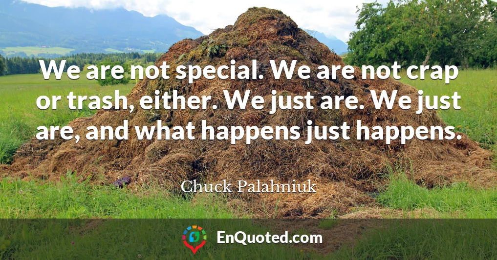 We are not special. We are not crap or trash, either. We just are. We just are, and what happens just happens.