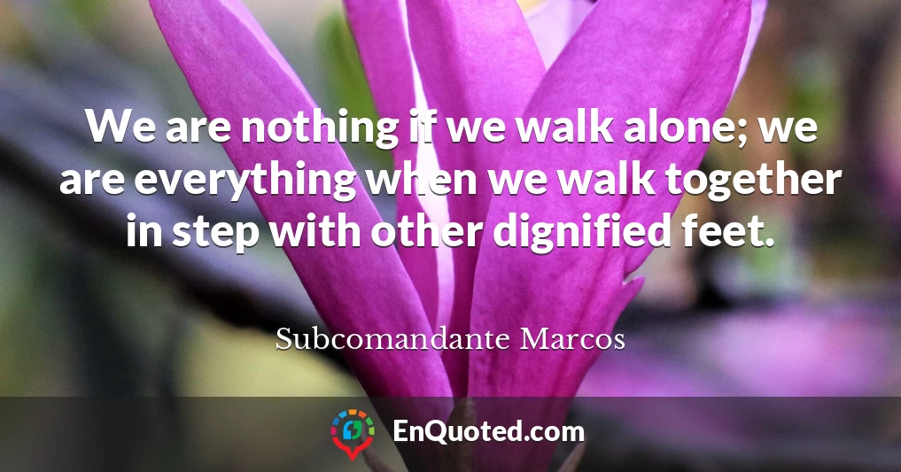 We are nothing if we walk alone; we are everything when we walk together in step with other dignified feet.