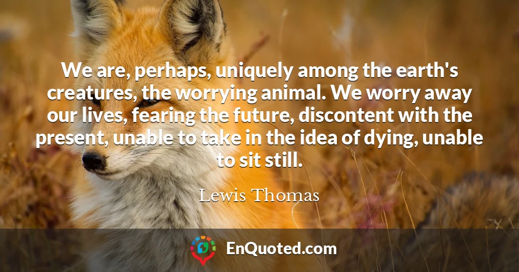 We are, perhaps, uniquely among the earth's creatures, the worrying animal. We worry away our lives, fearing the future, discontent with the present, unable to take in the idea of dying, unable to sit still.