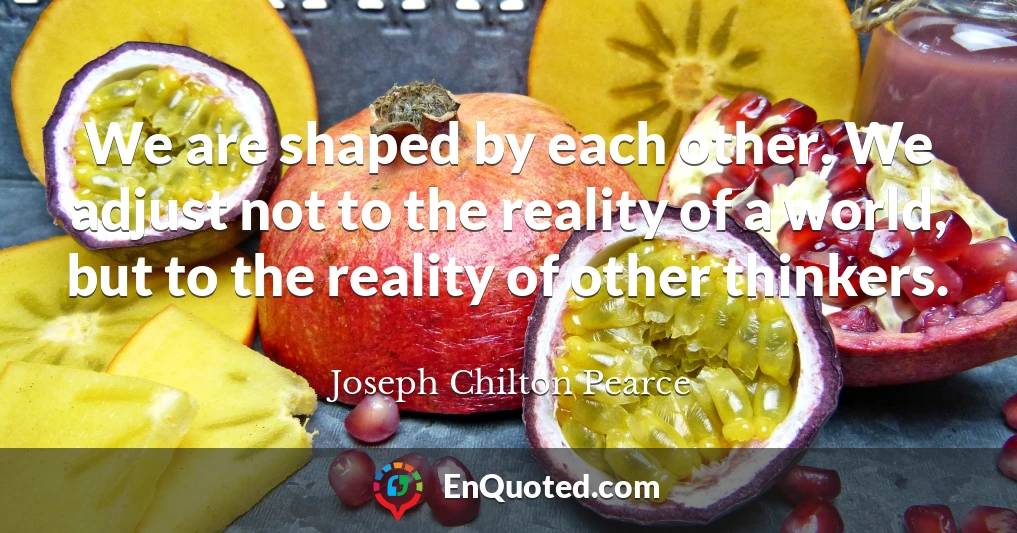 We are shaped by each other. We adjust not to the reality of a world, but to the reality of other thinkers.