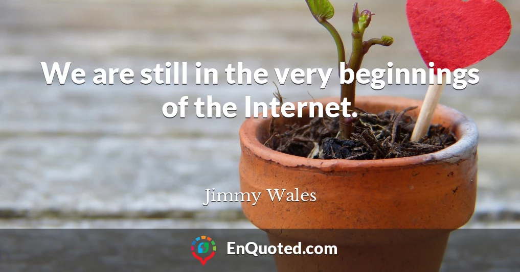 We are still in the very beginnings of the Internet.