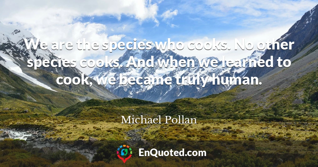 We are the species who cooks. No other species cooks. And when we learned to cook, we became truly human.