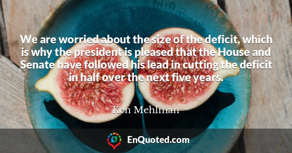 We are worried about the size of the deficit, which is why the president is pleased that the House and Senate have followed his lead in cutting the deficit in half over the next five years.