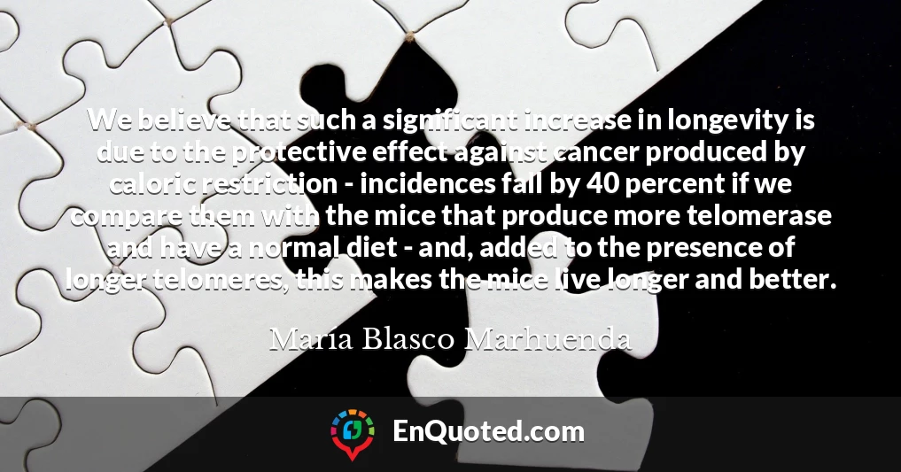We believe that such a significant increase in longevity is due to the protective effect against cancer produced by caloric restriction - incidences fall by 40 percent if we compare them with the mice that produce more telomerase and have a normal diet - and, added to the presence of longer telomeres, this makes the mice live longer and better.