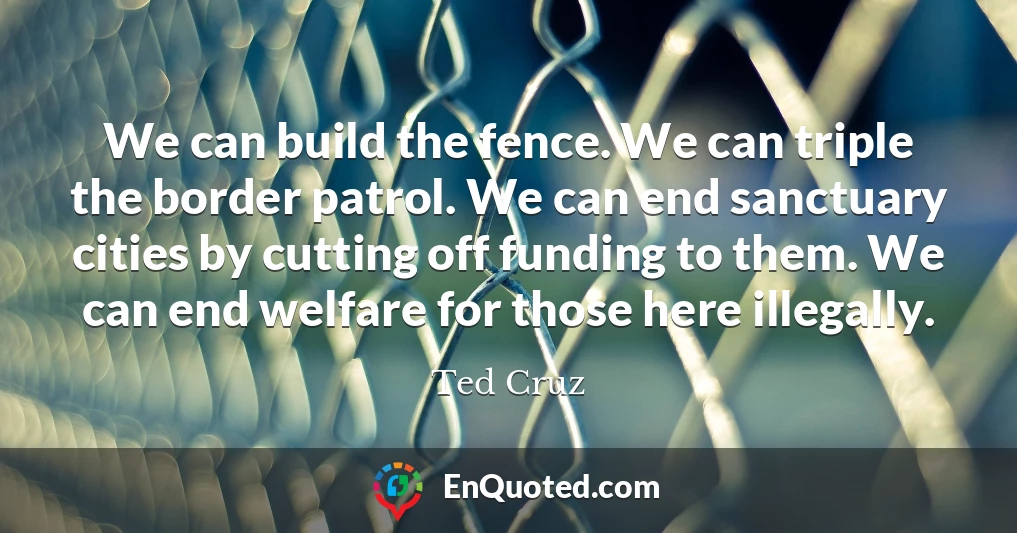 We can build the fence. We can triple the border patrol. We can end sanctuary cities by cutting off funding to them. We can end welfare for those here illegally.