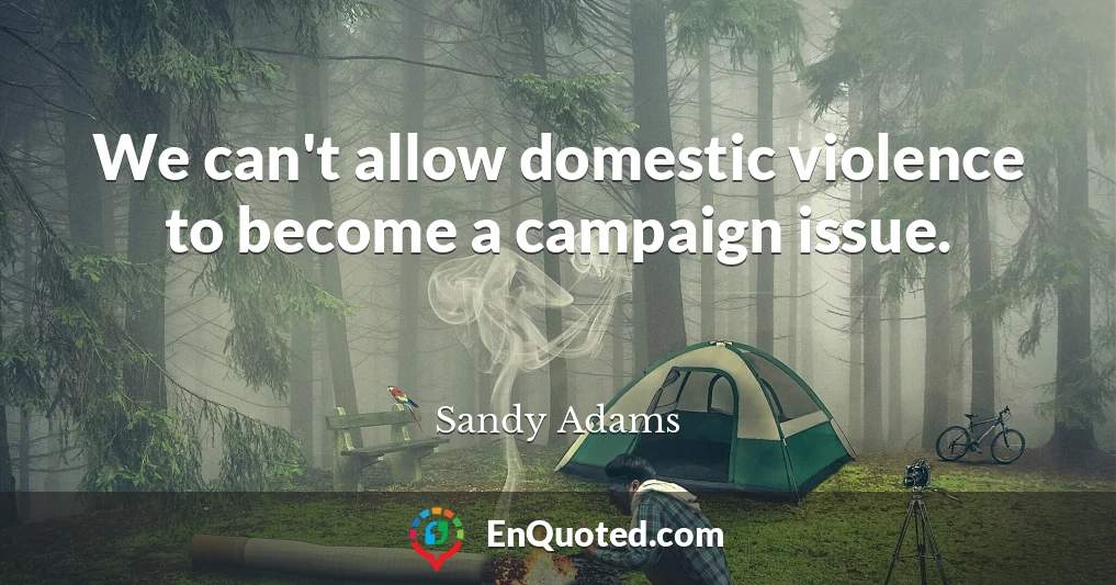 We can't allow domestic violence to become a campaign issue.