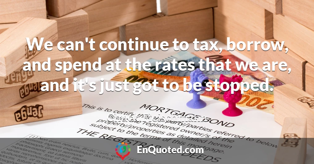 We can't continue to tax, borrow, and spend at the rates that we are, and it's just got to be stopped.