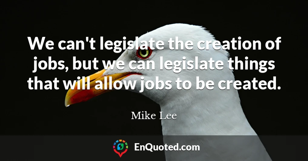 We can't legislate the creation of jobs, but we can legislate things that will allow jobs to be created.