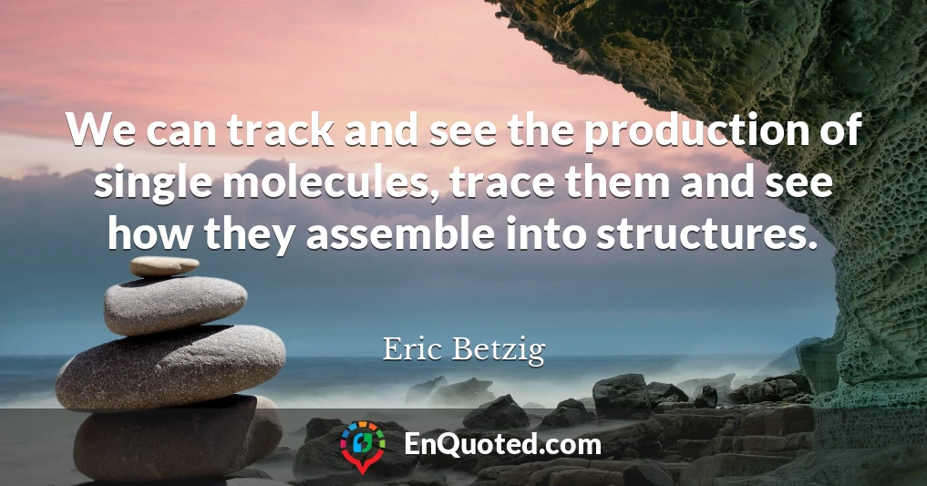 We can track and see the production of single molecules, trace them and see how they assemble into structures.