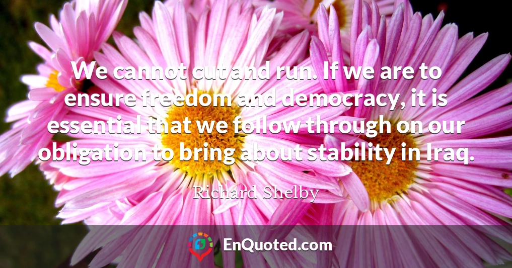 We cannot cut and run. If we are to ensure freedom and democracy, it is essential that we follow through on our obligation to bring about stability in Iraq.