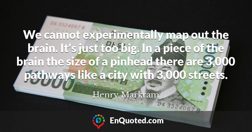 We cannot experimentally map out the brain. It's just too big. In a piece of the brain the size of a pinhead there are 3,000 pathways like a city with 3,000 streets.