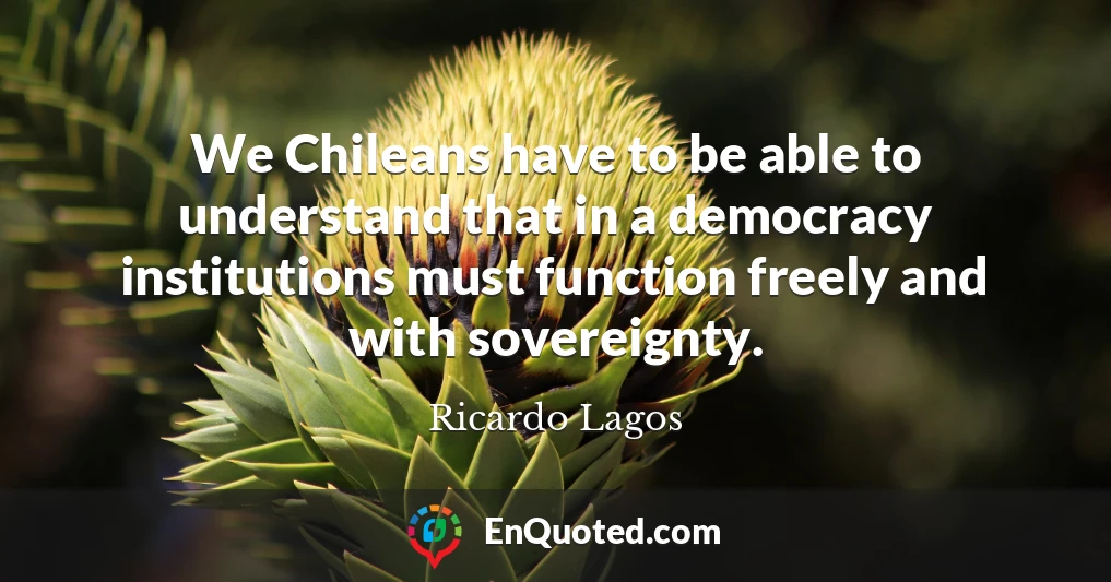 We Chileans have to be able to understand that in a democracy institutions must function freely and with sovereignty.