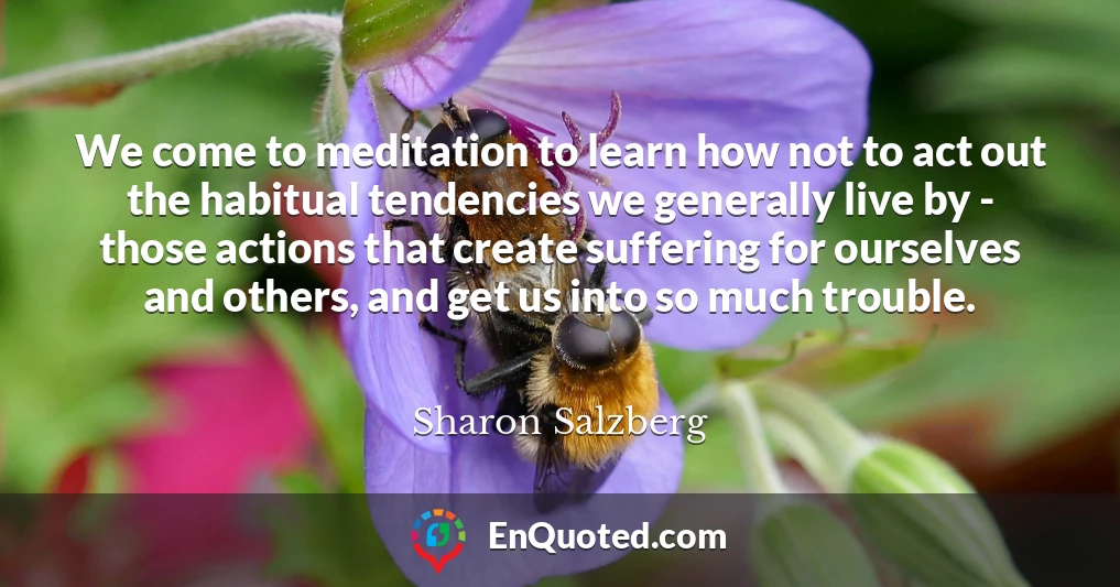 We come to meditation to learn how not to act out the habitual tendencies we generally live by - those actions that create suffering for ourselves and others, and get us into so much trouble.