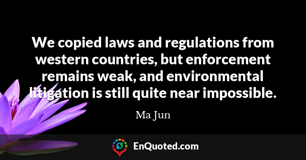 We copied laws and regulations from western countries, but enforcement remains weak, and environmental litigation is still quite near impossible.