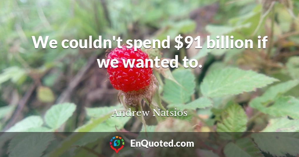 We couldn't spend $91 billion if we wanted to.