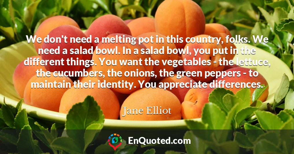 We don't need a melting pot in this country, folks. We need a salad bowl. In a salad bowl, you put in the different things. You want the vegetables - the lettuce, the cucumbers, the onions, the green peppers - to maintain their identity. You appreciate differences.