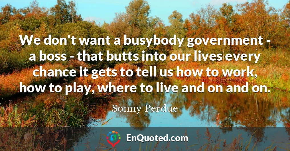 We don't want a busybody government - a boss - that butts into our lives every chance it gets to tell us how to work, how to play, where to live and on and on.