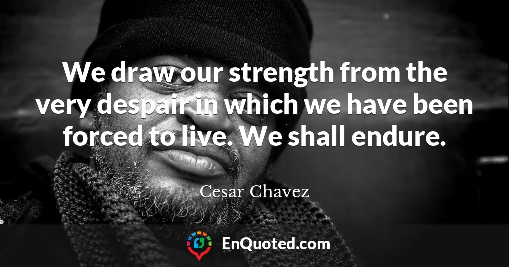 We draw our strength from the very despair in which we have been forced to live. We shall endure.