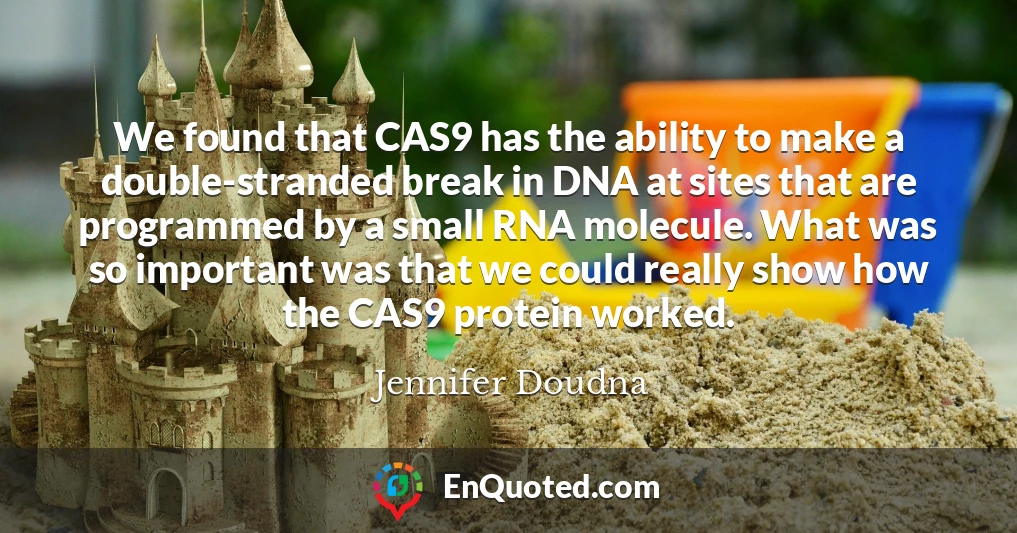 We found that CAS9 has the ability to make a double-stranded break in DNA at sites that are programmed by a small RNA molecule. What was so important was that we could really show how the CAS9 protein worked.