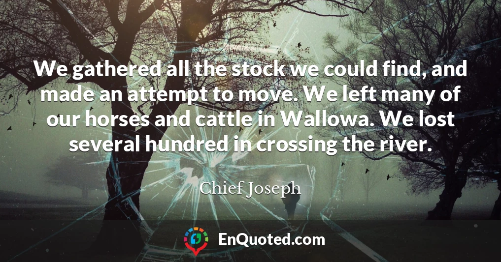 We gathered all the stock we could find, and made an attempt to move. We left many of our horses and cattle in Wallowa. We lost several hundred in crossing the river.