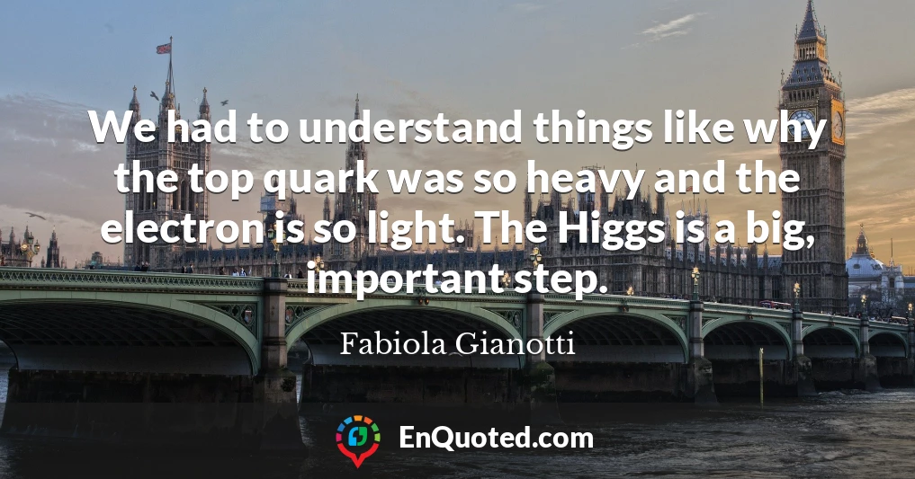 We had to understand things like why the top quark was so heavy and the electron is so light. The Higgs is a big, important step.