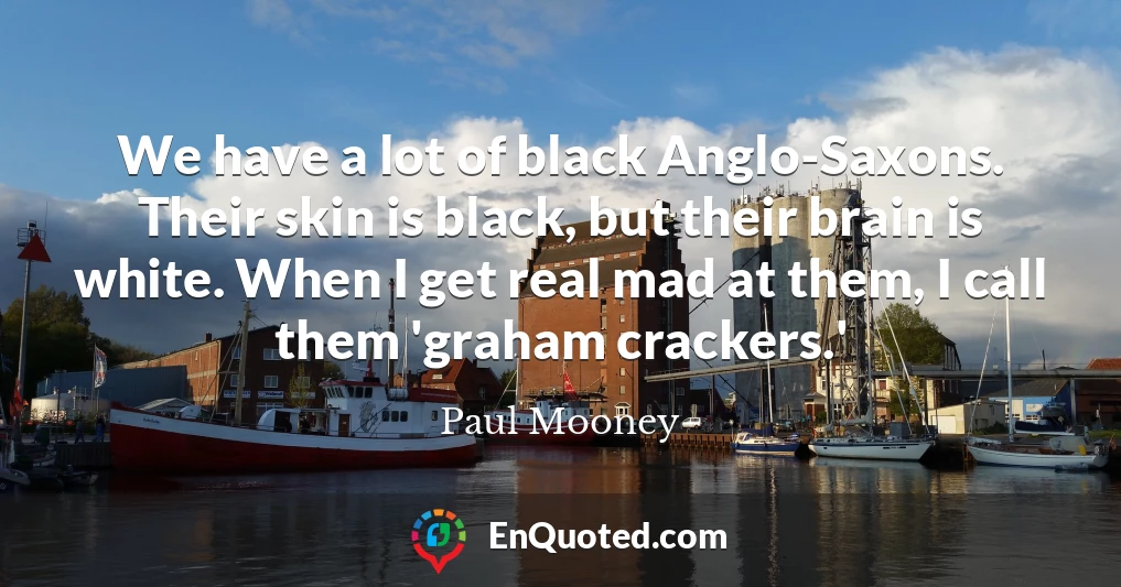 We have a lot of black Anglo-Saxons. Their skin is black, but their brain is white. When I get real mad at them, I call them 'graham crackers.'