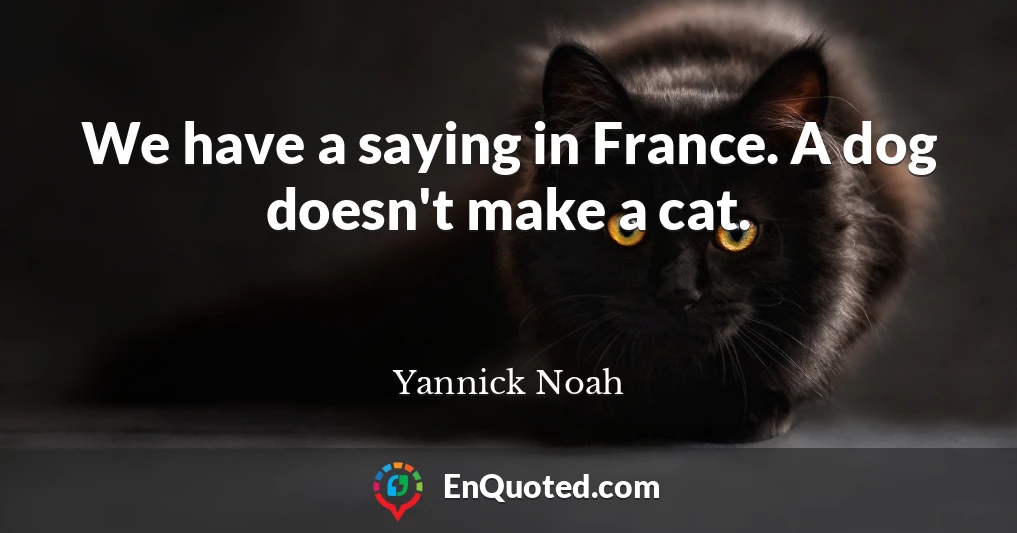 We have a saying in France. A dog doesn't make a cat.